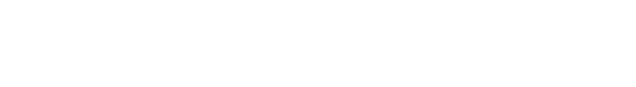 Veiga Distribuidora